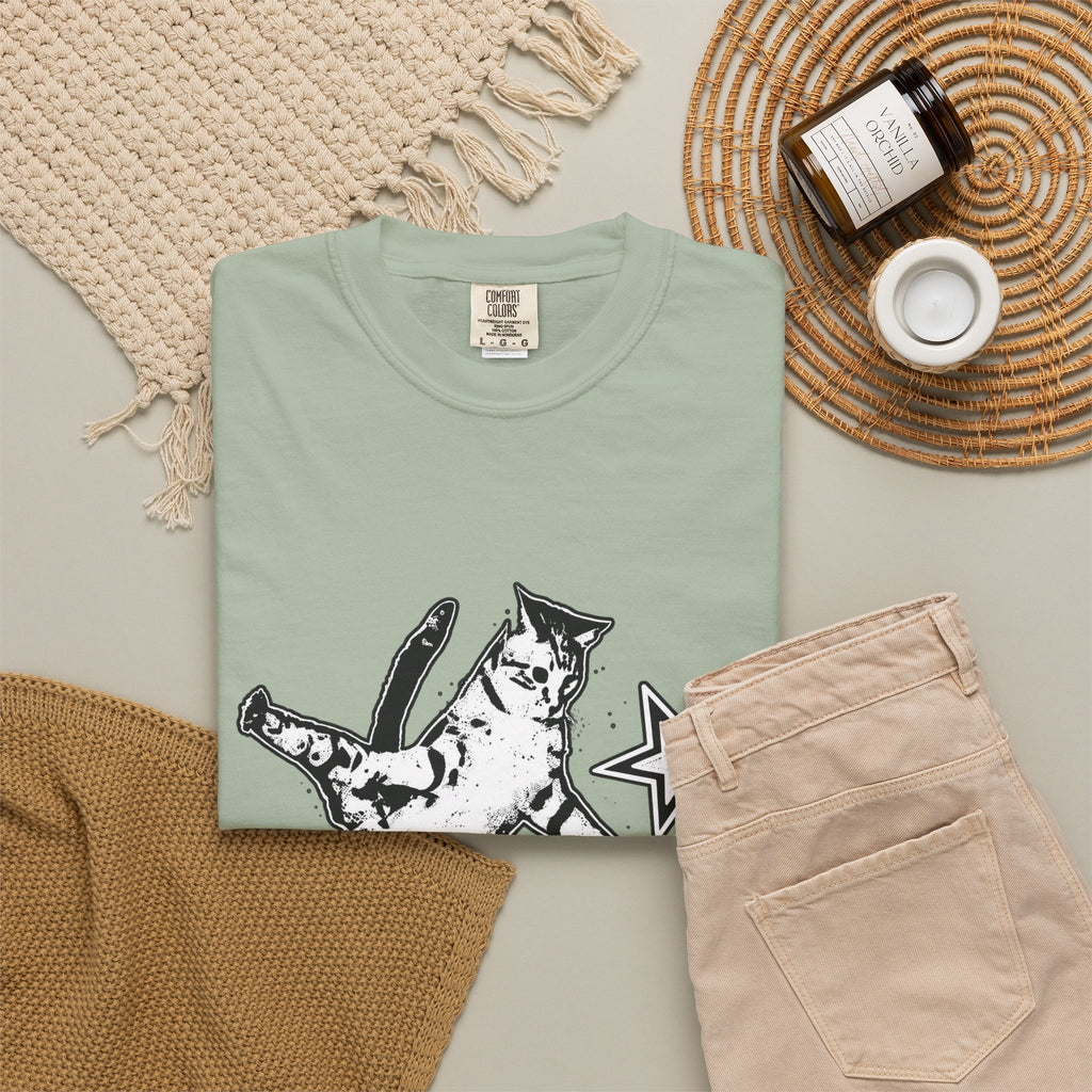 Vintage Y2K Skateboard Cat Shirt 90s aesthetic vintage kitten tee, mori kei top, rockstar gf aesthetic, retro grunge coquette skater